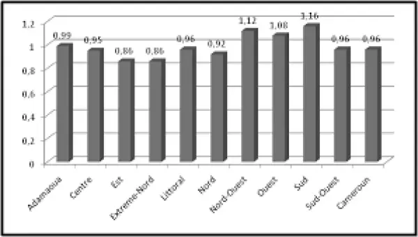 Production des statistiques de Genre : Le personnel de l’INS s’approprie des nouvelles techniques