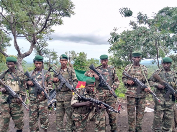 Un autre groupe armé menace de renverser le pouvoir de Yaoundé