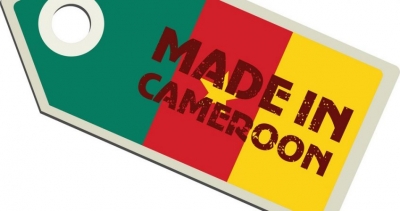 Patriotisme économique : Le plaidoyer des parlementaires Camerounais
