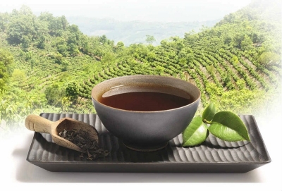 Au Cameroun, la consommation locale de thé est en hausse