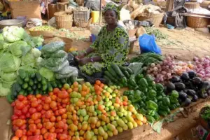 Création des marchés et pôles commerciaux : Yaoundé veut se doter d’un schéma directeur pour la planification