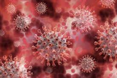 Coronavirus : Du grabuge autour du variant français mis en lumière l’institut hospitalo-universitaire