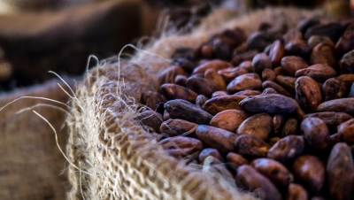 Les exportateurs de cacao se plaignent des lenteurs dans les procédures portuaires