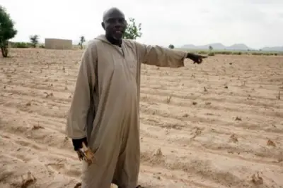 Secteur agricole au Cameroun : L’UE s’inquiète de l’impact avenir des dérèglements climatiques