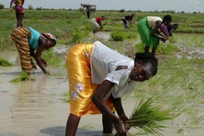 Autonomisation de la femme sahélienne : La Banque mondiale accorde un prêt de 44 milliards de FCFA au Cameroun