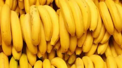 Crise anglophone: La CDC disparaît de la liste des exportateurs de banane du Cameroun