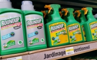 Glyphosate Pesticide : il n&#039;y a pas d&#039;interdiction officielle, affirme le gouvernement