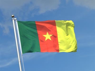 Les Histoires de Ferdin: Welcome to Cameroon