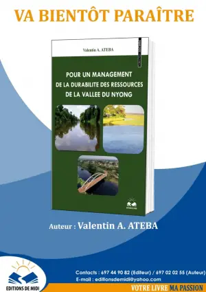 “ Pour un management de la durabilité de la vallée du Nyong”: Ou comment implémenter le management de la durabilité?