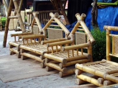 Bambou : Reconversion d’une filière de transformation