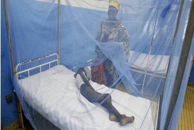Paludisme : Le Cameroun enregistre 10.000 morts et 7 millions de malades par an