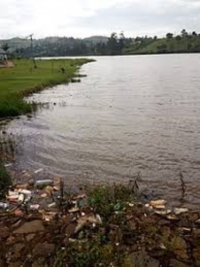 Environnement : le Cameroun présente des données extrêmement alarmantes