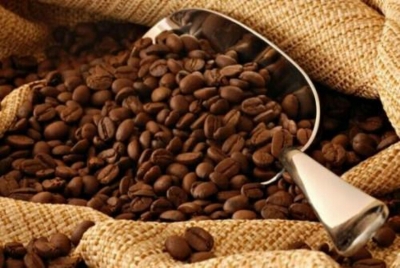 Cameroun : Le meilleur café est produit dans le Nord-Ouest