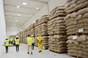Agro-industries : Le Japon appuie la construction d’une usine de transformation de fèves de cacao à Ebolowa