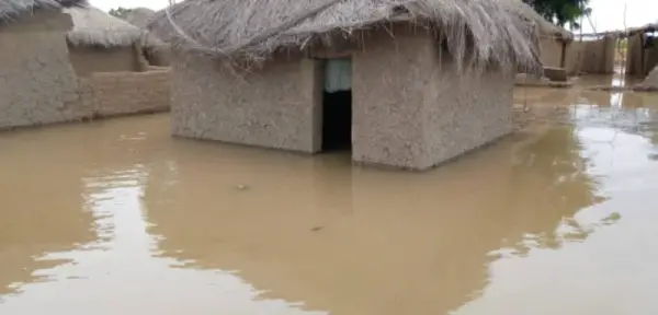 Survenance des catastrophes au Cameroun : Et si la responsabilité humaine était plus engagée ?