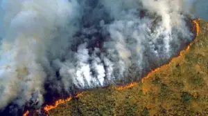 Amazonie : De violents incendies ravagent « le poumon vert de la planète »