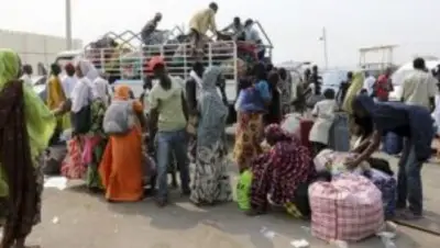 Le Conseil norvégien pour les réfugiés appelle le Cameroun à ouvrir ses frontières aux réfugiés nigérians