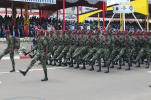 Sécurité: Le Cameroun est la 21e puissance militaire en Afrique