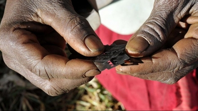 Violences faites aux filles : Les mutilations génitales se pratiquent encore au Cameroun