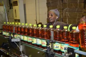 Cameroun : Suspension de l&#039;exportation des céréales et des huiles végétales produites au niveau local