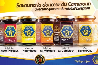 Saison apicole: Le Cameroun veut améliorer la qualité de son miel