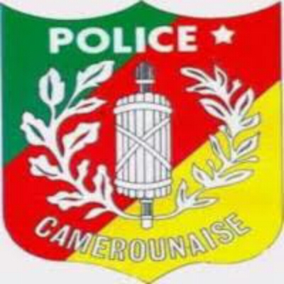 Sûreté nationale : 264 nouveaux commissaires et officiers enrichissent les rangs de la police camerounaise