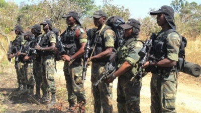 Plus de 8.000 jeunes recrutés dans l’armée camerounaise en 2019