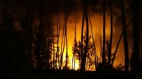 France : Les pompiers luttent contre deux incendies à Ardèche