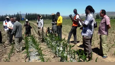 Développement agricole: Les Etats-Unis veulent accompagner le Cameroun