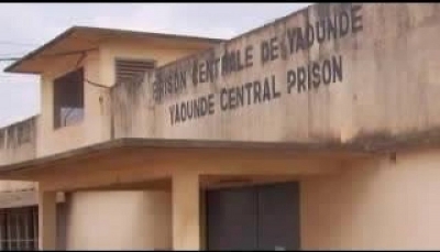 Carnet Judiciaire : Des mineurs incarcérés à Kondengui pour vol