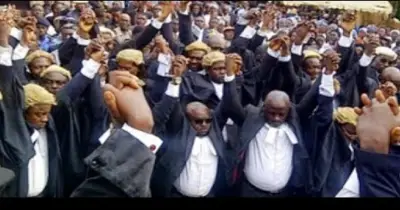 Projet de Loi sur le Bilinguisme : Les avocats grèvent à Bamenda