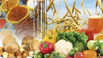 Industrie agroalimentaire : Le potentiel africain sera mis en vitrine du 9 au 12 mars 2021