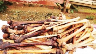 Douala: 4 jeunes d’une vingtaine d’années arrêtés avec un squelette humain