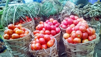 Covid-19 et prix de la tomate dans les marchés : La fermeture des frontières cause d’énormes manques à gagner aux producteurs