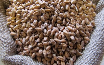 Le Cameroun veut limiter les importations de blé et de malt