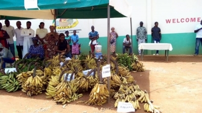 Des marchés d’approvisionnement seront organisés ce mois à Yaoundé et à Douala