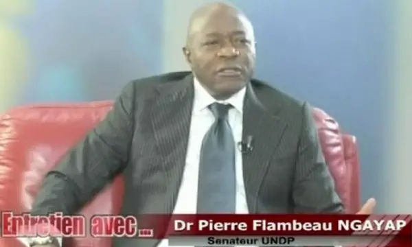 Directeurs généraux de société en situation illégale: le Sénateur Pierre Flambeau Ngayap veut continuer le combat de Denis Emilien Atangana