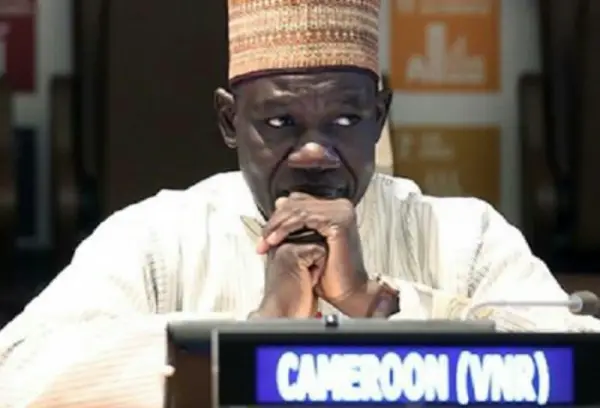 APE : Le Cameroun maintient la suspension du démantèlement tarifaire jusqu’à fin 2020