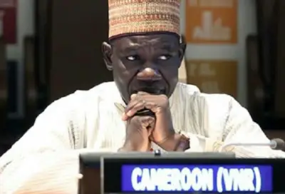 APE : Le Cameroun maintient la suspension du démantèlement tarifaire jusqu’à fin 2020
