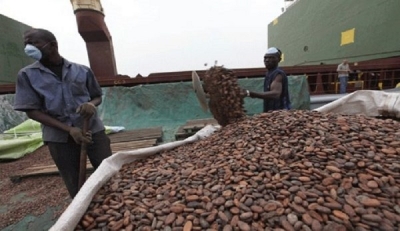 Agriculture : Le Nigeria veut s’associer au Cameroun pour négocier de meilleurs prix du cacao