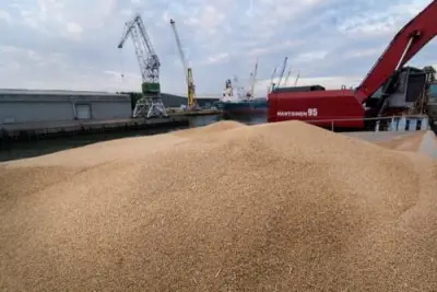 Cameroun-Filière céréale : 860 000 tonnes de blé importées en 2020