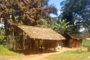 Cameroun : L&#039;exploitation forestière à grande échelle force les autochtones Baka à quitter les forêts