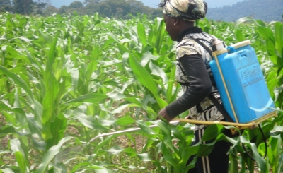 Le Cameroun fait de 2019 l’année de l’opérationnalisation de la révolution agricole