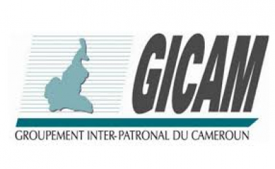 Gicam : Aline Valérie Mbomo remplace Alain Blaise Batongue au poste de secrétaire exécutif