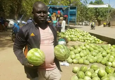 Portrait : Langllo Flekem, un jeune producteur et vendeur de pastèques qui se frotte les mains à Garoua