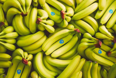 Filière banane : Les exportations baissent de 1 405 tonnes en octobre 2020 au Cameroun