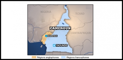 Présidentielle 2018: Paul Biya récolte le plus grand nombre de suffrages dans les régions anglophones