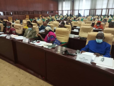Activités parlementaires: les députés n’en peuvent plus de l’ingérence étrangère dans les affaires internes du Cameroun