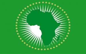 Affaire Maurice Kamto et Cie : L&#039;Union africaine entre en scène
