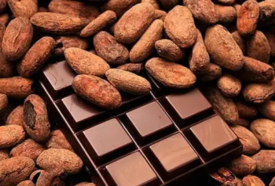Transformation locale du Cacao: une nouvelle usine de production de chocolat verra le jour au Cameroun